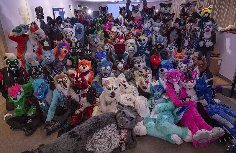 Furry Fandom: Why Some People Collect Fur-covered Toys